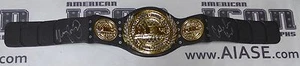 Urijah Faber Signed WEC Toy Championship Belt PSA/DNA COA UFC Autograph 194 181 - Picture 1 of 24