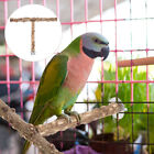  Naturholz Ausbildung Papageienbarsch Papageienständer Spielzeug