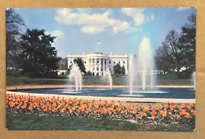 POSTCARD UNUSED - WHITE HOUSE AND GROUNDS, WASHINGTON, D.C. - Picture 1 of 2