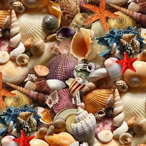 Stoff Strand Sand Muscheln komplett verpackt auf Baumwolle ELIZABETH 1/4 Yard 392MULTI - Bild 1 von 1