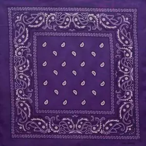 Classic Paisley Bandana - Purple - Bild 1 von 1