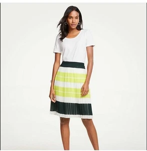 Ann Taylor Pleated Bold Stripe Lined Chiffon Skirt Women 12 Preppy Office Career - Picture 1 of 12