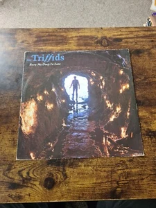The Triffids - Bury Me Deep In Love - Island - 12IS5337 - 12" 45rpm - UK - 1987 - Picture 1 of 11