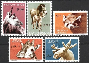 Belgium 1961.  Animals. Panda. Rhino. Giraffe. Sc# B690-B695, MNH OG - Picture 1 of 1
