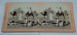 KAIRO Ägypten | *Deseret Pyramiden Wüstenkamele* Kilburn Stereoview Foto - Bild 1 von 2
