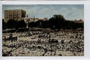 (w16f268-343) Castle and Cattle Market, NORWICH c1910 sin usar en muy buen estado - Imagen 1 de 1