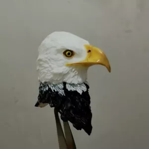 1/6 Animal Legion Soldier Bald eagle Head Sculpt Fit 12'' Male Action Figure Toy - Picture 1 of 8