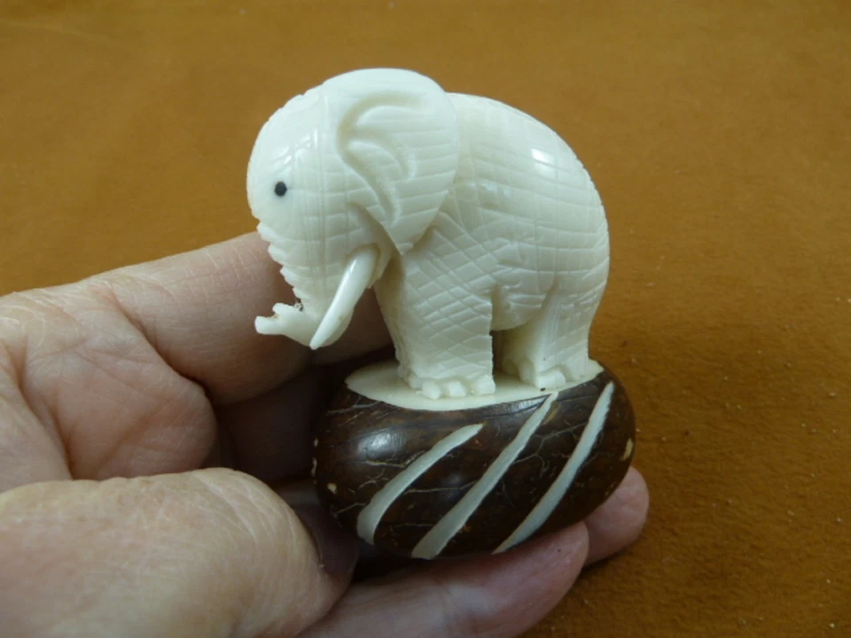 TNE-ELE-172c) circo PAQUIDERMO NUEZ estatuilla vegetal elefas zoológico favorito Foto 1 de 1