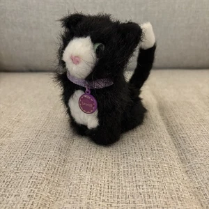 American Girl Doll Licorice Black Cat Plush Pet + Purple Collar w/ Name - Picture 1 of 4