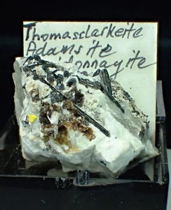 THOMASCLARKEITE-(Y) ADAMSIT-(Y) Kristalle feines Mineral Mont Saint Hilaire QK CA - Bild 1 von 5