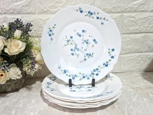 ARCOPAL VINTAGE SET SEI PIATTI PIANI SERIE MYOSOTIS VERONICA DIAM 23,5CM - Foto 1 di 2