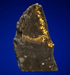 Gold mit Hessit, Petzit und Pyrit Cash Mine, Gold Hill, Colorado 1900-164 - Bild 1 von 4