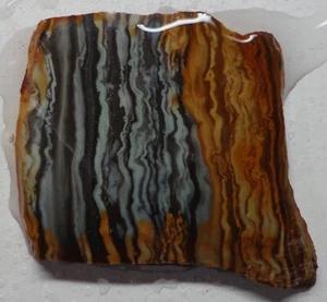 WRG- Cuadro cuerno de búfalo losa de jaspe 26 gramos lapidario Wyoming - Imagen 1 de 4