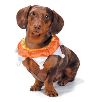 "Aria Caramelo Maíz Perro Crujiente Halloween Fiesta Collar Accesorio para Mascotas S M L 13-16""" Foto 1 de 4