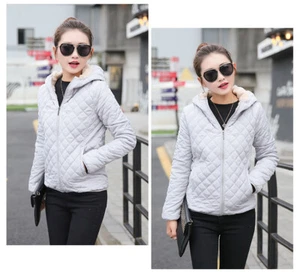 Damen Winter Jacke Kapuze Fleece Mantel Herbst Frühling Oberbekleidung kurzer Reißverschluss warm - Bild 1 von 8