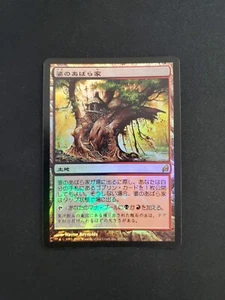 Auntie's Hovel Japanese FOIL LP [Lorwyn] Mtg Free Tracking! - Picture 1 of 4