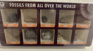 Geoworld Fossils From All Over The World Collection 10 Fossils Specimens - Imagen 1 de 12