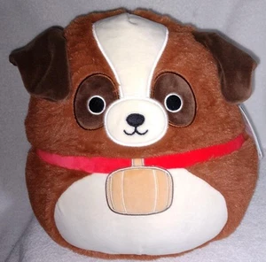 Squishmallows Fuzzamallows Sassafras der Bernhardiner Hund 12 Zoll Plüsch Neu mit Etikett - Bild 1 von 2