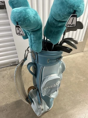 Juego completo de ping golf Eye2 años 80 raro en perfecto estado para damas  Foto 1 de 4