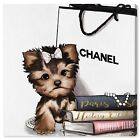 The Oliver Gal Artist Co. Animals Wall Art Canvas Prints 'Fashion Book Yorkie...