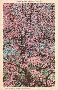 Beach Lake & Mountains, Hungry Mother State Park, Marion, VA Vintage Linen PC - Picture 1 of 2