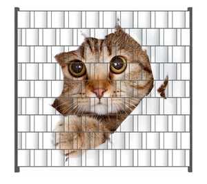 Wallario Zaun Sichtschutzstreifen Sichtschutzfolie Katze Blick nach vorn katze - Bild 1 von 7