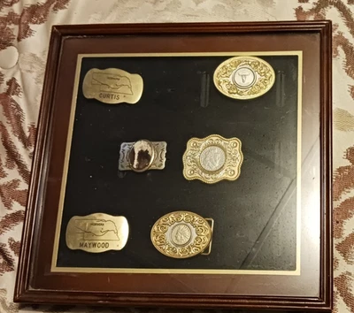 VITRINA CON HEBILLA DE CINTURÓN CON BISAGRAS MADERA-FIELTRO-VIDRIO 14 1/2" X 15" + 6 HEBILLAS Foto 1 de 4