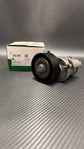 INA Riemenspanner, Keilrippenriemen 534012320 - Bild 1 von 1