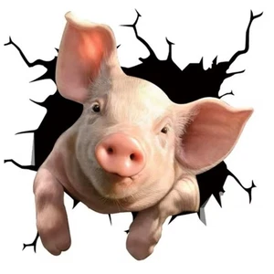 3D Schwein Wandtattoo - Bild 1 von 2