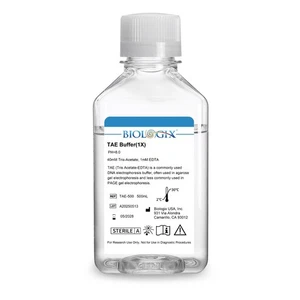 Biologix® TAE Buffer (1x), pH8.0, 500mL/bottiglia, 10 flaconi/custodia - Foto 1 di 9