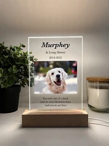 Personalized LED Light Up Wood Stand Pet Dog Cat Remembrance Memorial Gift - Picture 1 of 6
