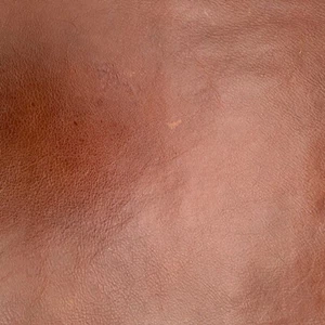 Woodford Brown (Reddish Brown)  5" x 8"    ZE 50 - Picture 1 of 10