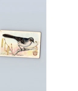 1918 Braccio e Martello Utili Uccellini America seconda serie Mockingbird n.1 - Foto 1 di 2
