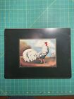 French Rooster Chicken Paintings Solid Wood Veneer By A Churchill Country 11X15