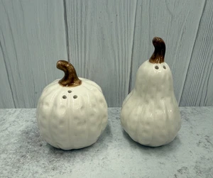 Thanksgiving Fall gourd Salt and Pepper Shakers Holiday table Decor 4" x 2.5" - Picture 1 of 2
