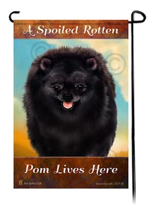 A Spoiled Rotten Black Pom Lives Here - Imagen 1 de 1