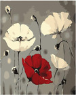 Paint by Number for Adults Canvas Flowers Poppies Oil Acrylic Paint Easy for Beg