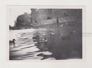 Entenleben Seefestung Miniwellen schöne Farbtöne schöner Schnappschuss altes Foto - Bild 1 von 7