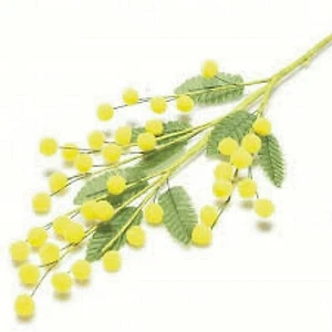 MIMOSA MIMOSE FESTA della DONNA 12 CONFEZIONI RAMETTI FESTA PARTY in STOCK - Foto 1 di 1