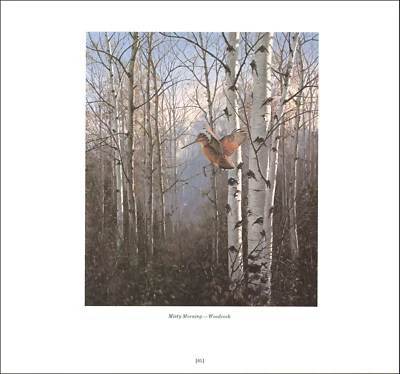 Estampado vintage 1978 pato leñador pájaro aves acuáticas tierras altas patos del bosque David Maass Foto 1 de 3