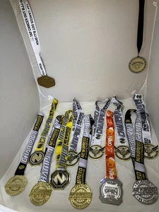 Jui Jitsu Federation Newbreed Champion Ultimate Challenge medals, Some Gold - Picture 1 of 10