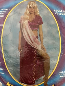 Women's Hindu Goddess Costume, Fuchsia, Small Adult - 4 Piece Set - Picture 1 of 2