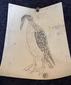 Large Original Drawing Bird Duck Figure Outsider Art Folk Animal Portrait - Picture 1 of 7