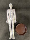 Female Human Acupuncture Model with Meridian Points, White Soft