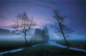 POSTER In Dreams - Bild 1 von 1