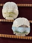 2 Vintage Hand-Painted Large Sand Dollars, Shore Scenes, Great Gift
