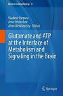 Glutamate and ATP at the Interface of Metabolism and Signalin... - 9783319088938
