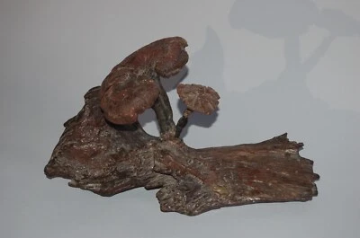 Escultura, rana debajo de dos setas naturales sobre madera a la deriva, antigua, Japón Foto 1 de 4