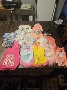 Dog Cat Clothing Lot Size XS - 12 Outfits Dresses Shirts Bundle Of 12 - Picture 1 of 1