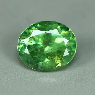 1,13 Cts_Gran inclusión cola de caballo_Granate Demantoide Verde 100 % Natural_Namibia Foto 1 de 3